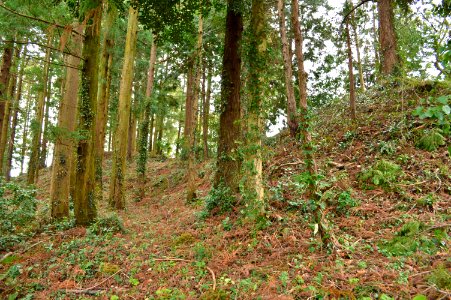 Hei-jinja Kofun funkyu