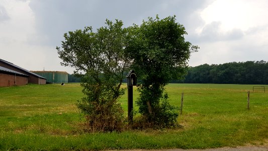 Heijenrath-Mariabeeldje Grote Bosweg-Heiwegje (1)