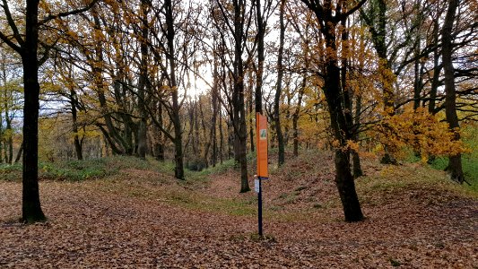 Heerlen-Landgraaf Brunssummerheide (4)