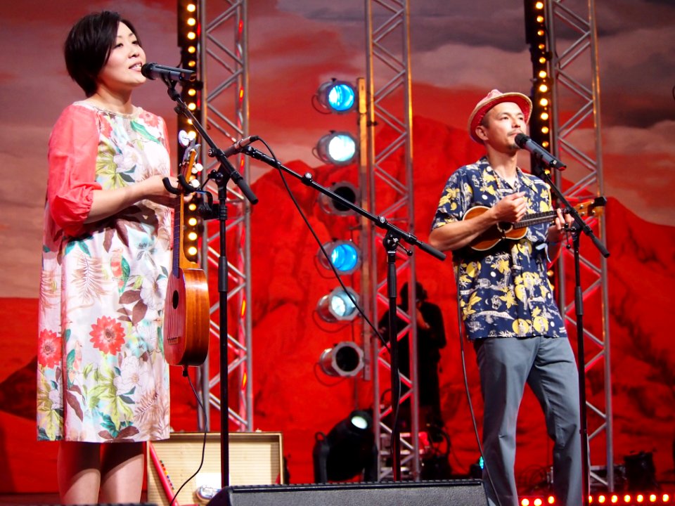 Heimatsound-Festival 2014 Coconami (11)