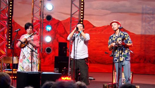 Heimatsound-Festival 2014 Coconami (16)