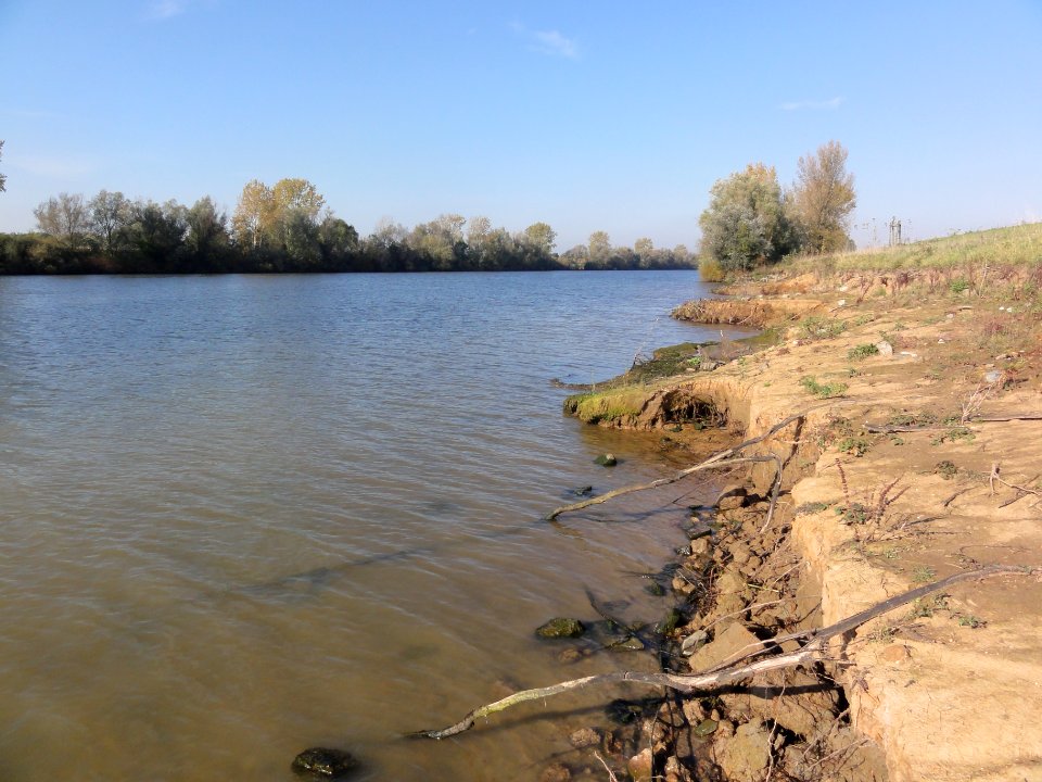 Heijen (Gennep) Zuidereiland, Maas met geërodeerde oever 01