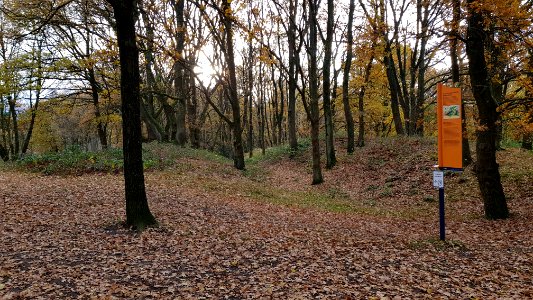 Heerlen-Landgraaf Brunssummerheide (3)