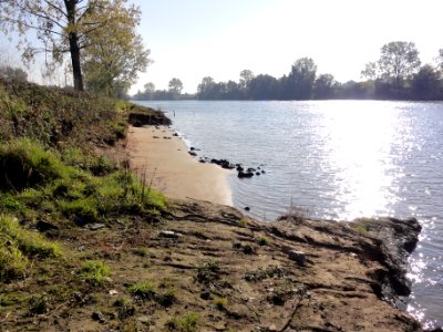 Heijen (Gennep) Zuidereiland, Maas met geërodeerde oever 03