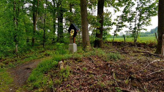 Heijenrath-wegkruis Bovenste Bosch langs grens (2)