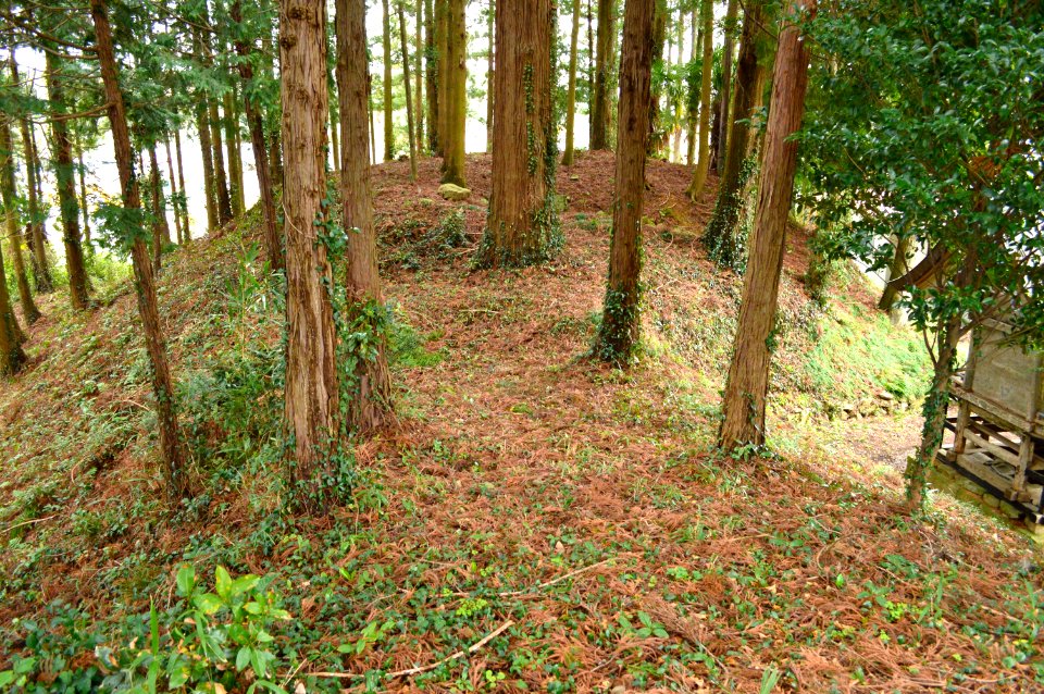 Hei-jinja Kofun funcho-2
