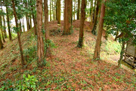 Hei-jinja Kofun funcho-2