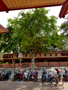 Hua Hin Station - 2017-04-14 (009)