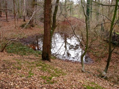 Heerlen-Caumermolen-3