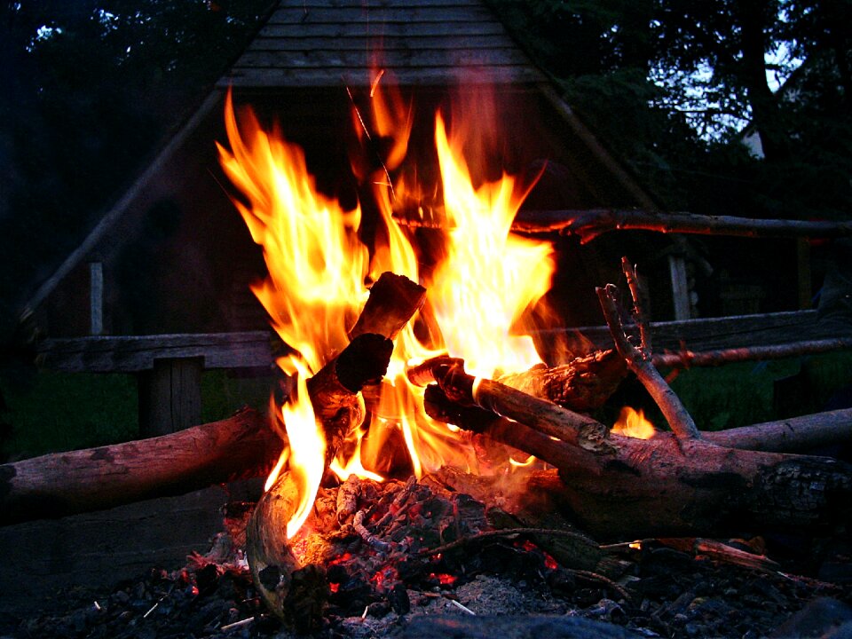 Glow wood camp photo