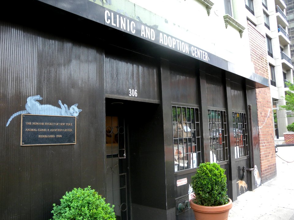 HSoNY clinic 306 E59 jeh
