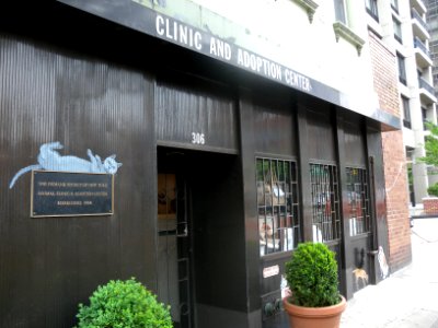 HSoNY clinic 306 E59 jeh