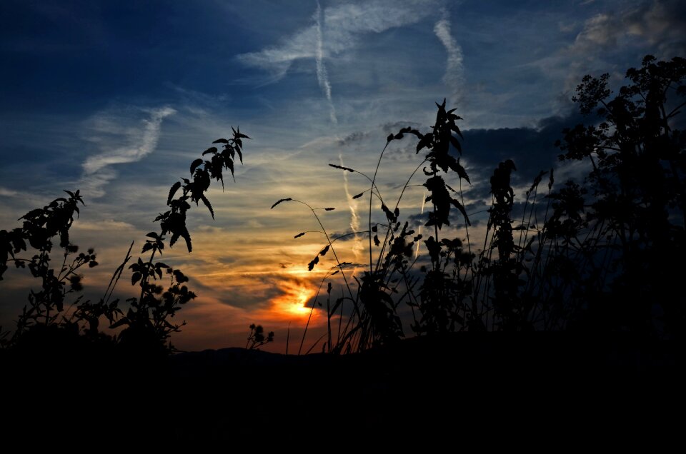 Heaven summer evening sky