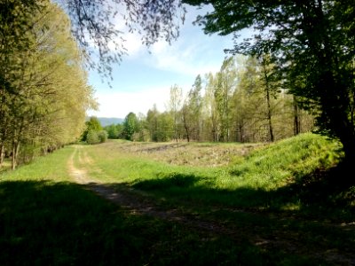 HRB Hägenich, Überlauf 1 (2)