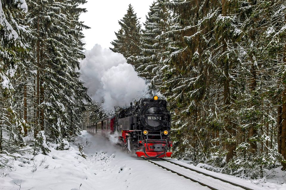 Https,--trainpix.org-vehicle-95849--n109497, Germany, Saxony-Anhalt, Drei-Annen-Hohne - Schierke stretch (Trainpix 184764)