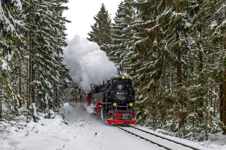 Https,--trainpix.org-vehicle-95849--n109497, Germany, Saxony-Anhalt, Drei-Annen-Hohne - Schierke stretch (Trainpix 184764)