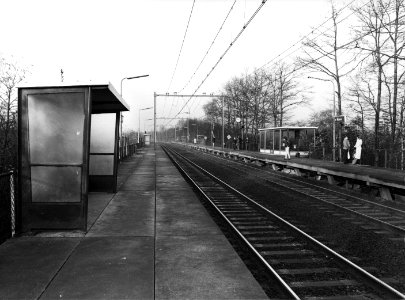 HUA-155812-Gezicht op de perrons van het N.S.-station Maarn te Maarn