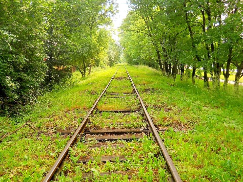 Travel transport rails