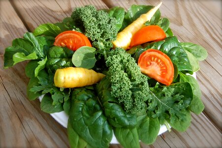 Food diet lettuce photo