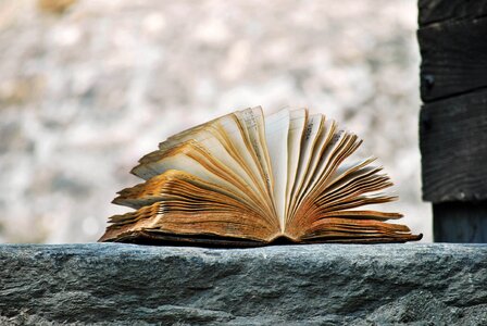 Book story fairy tale