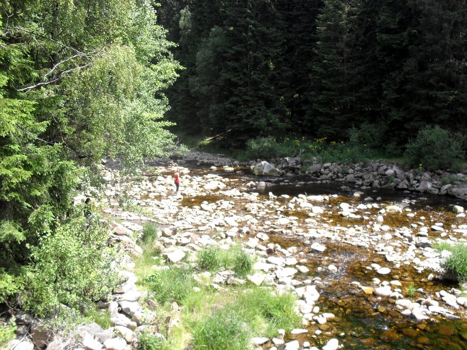 Hradlový most (Šumava) 28
