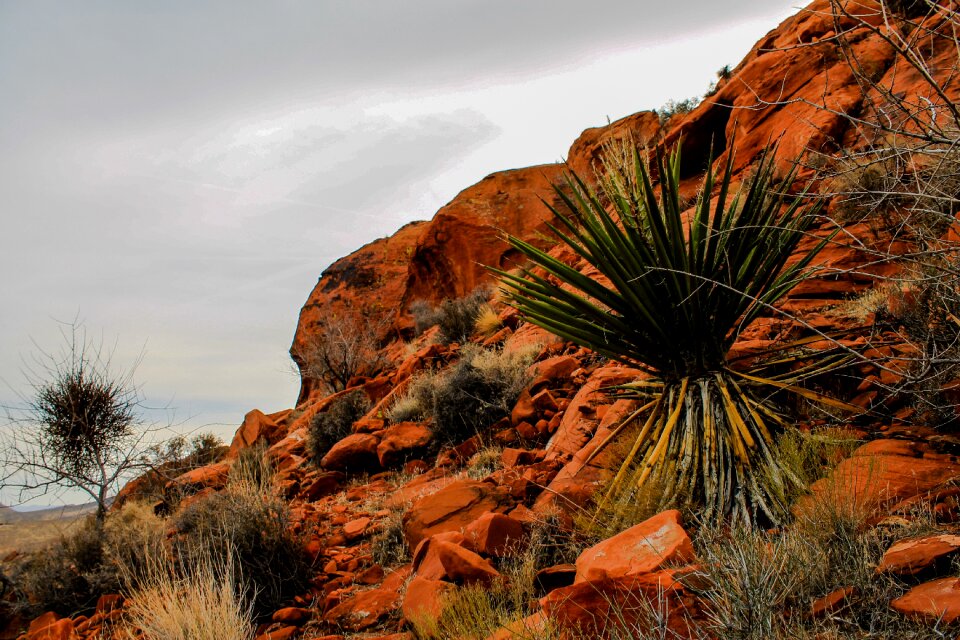 National park usa photo