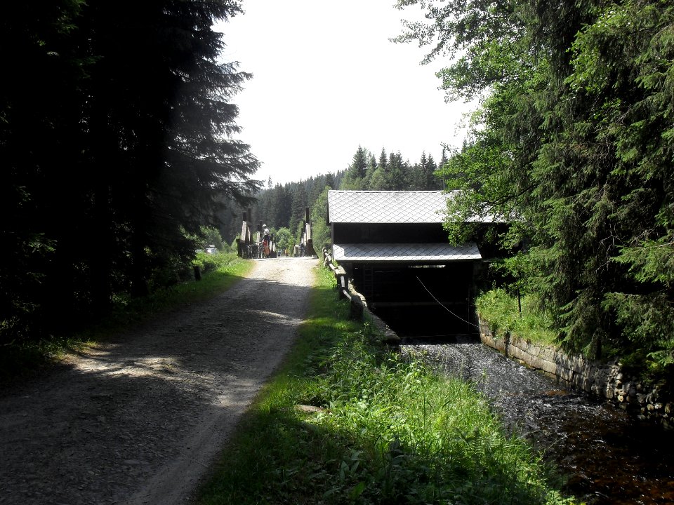 Hradlový most (Šumava) 26