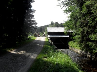 Hradlový most (Šumava) 26