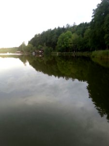 Hplzöstersee Innviertel Oberösterreich 05