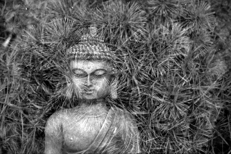 Religion spiritual buddhism photo