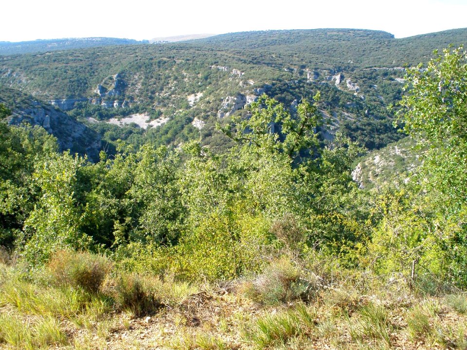 Hoyos del Tozo, Cañada del Rudrón 1