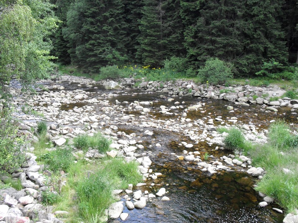 Hradlový most (Šumava) 5