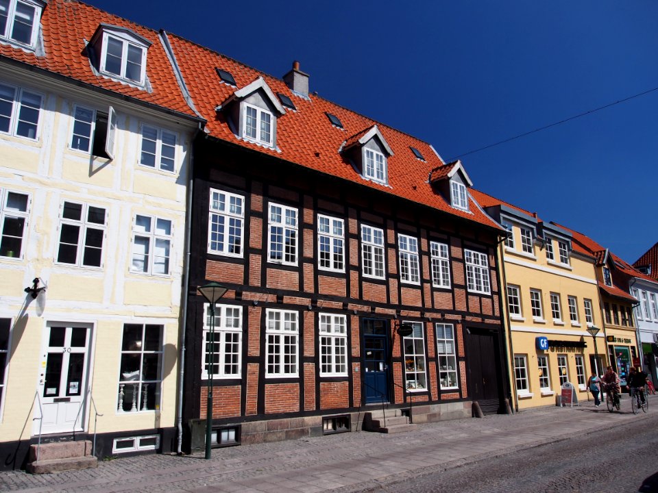 Houses in Odense pic2