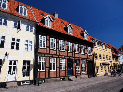 Houses in Odense pic2