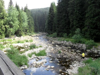 Hradlový most (Šumava) 1