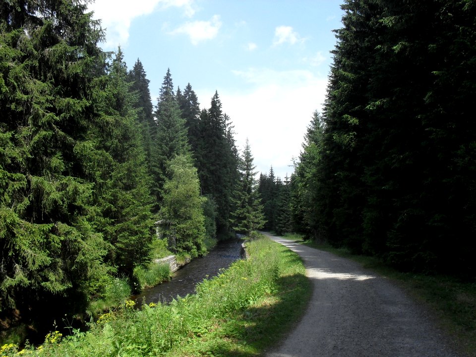 Hradlový most (Šumava) 22