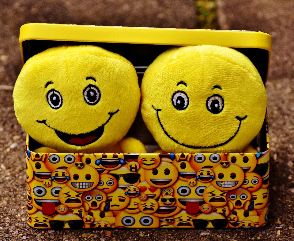 Joy emoticon emoji