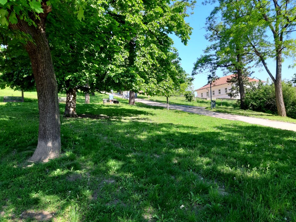 Hrad Špilberk & okolí 20210602 093440 A