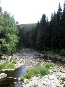 Hradlový most (Šumava) 2
