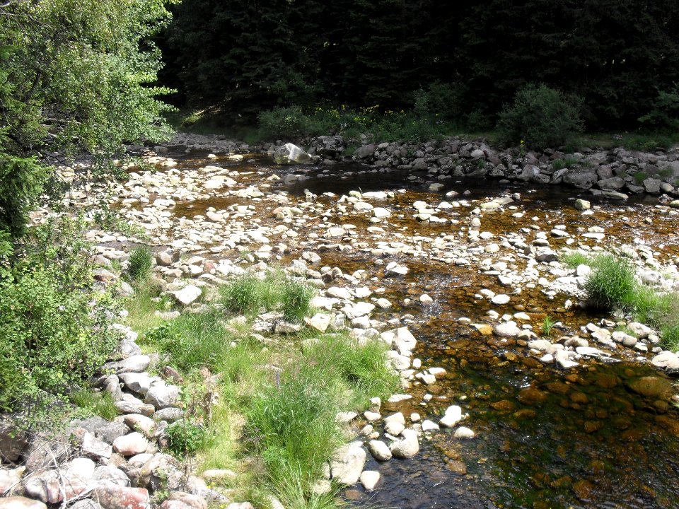 Hradlový most (Šumava) 21