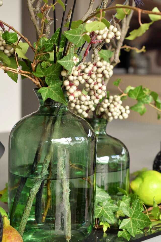 Glass green ivy