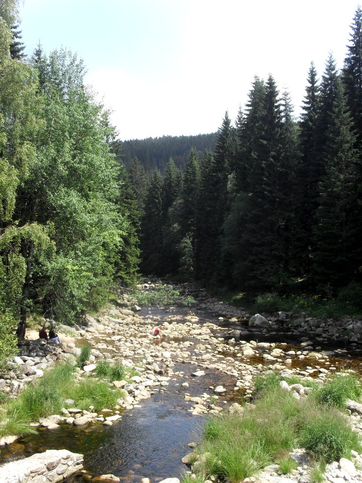 Hradlový most (Šumava) 29