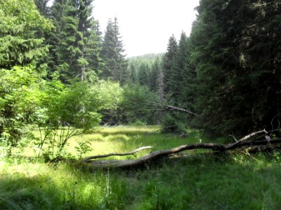 Hradlový most (Šumava) 72