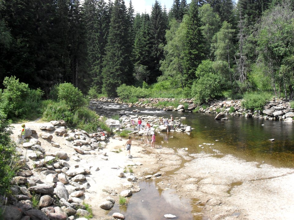 Hradlový most (Šumava) 79