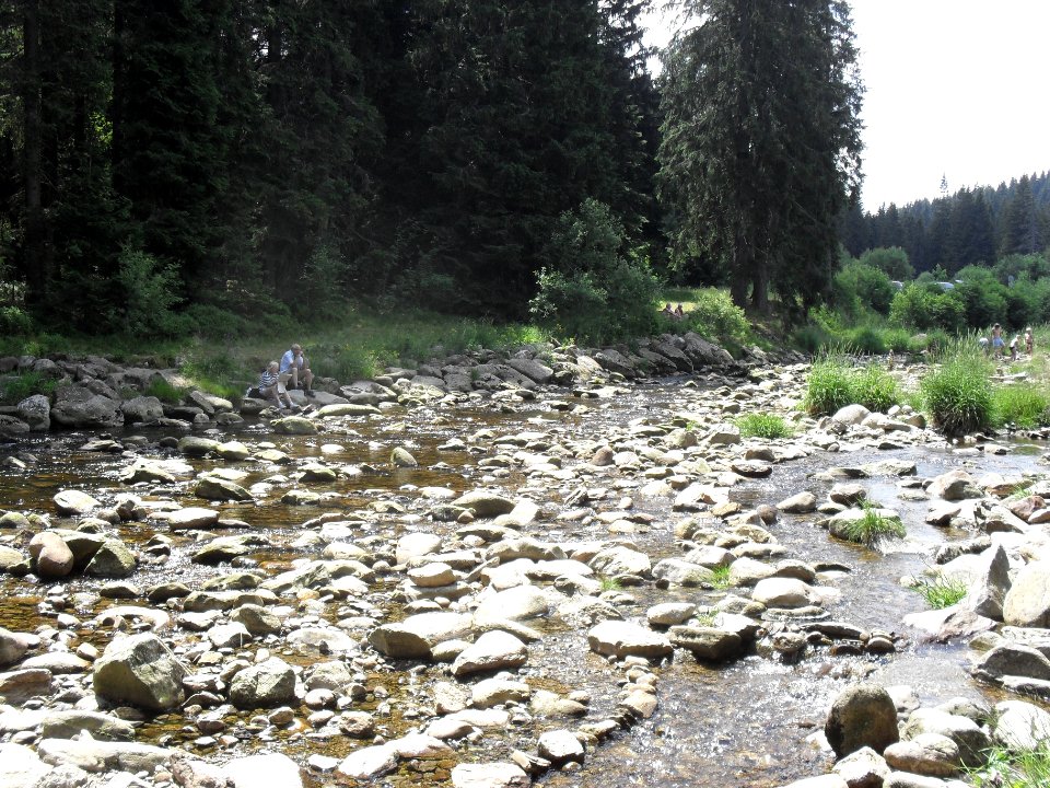 Hradlový most (Šumava) 35