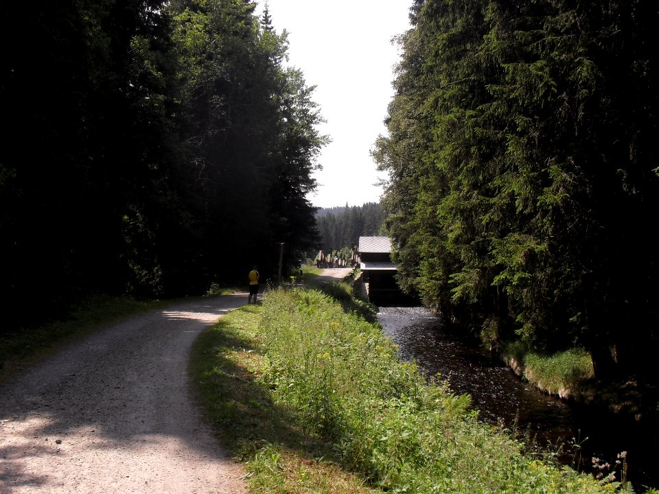 Hradlový most (Šumava) 25