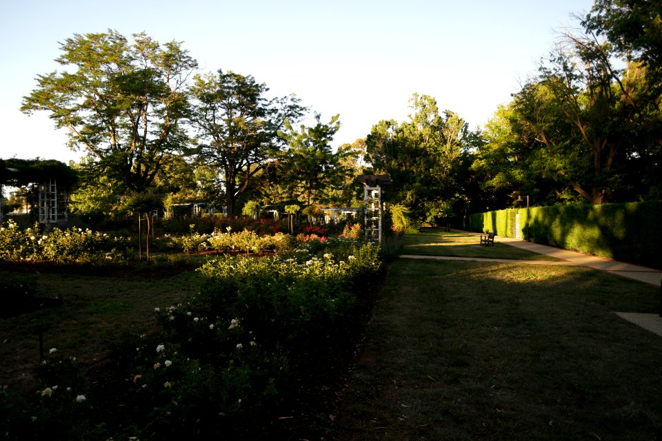 House of Representatives Garden, Parliament House Gardens 030