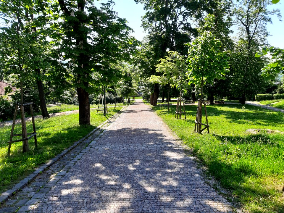 Hrad Špilberk & okolí 20210602 093730 A