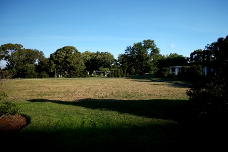 House of Representatives Garden, Parliament House Gardens 002