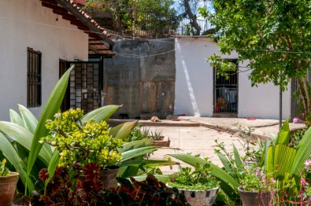 House in El Limón, Via Los Teques-Caracas 3